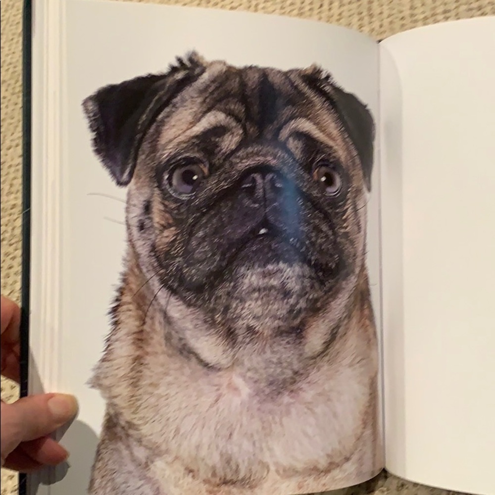 Coffee table book. Dog days. Hardcover.